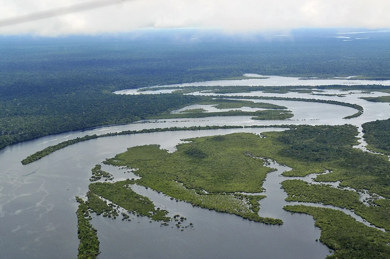 Selva y agua en la Amazonía: una muestra de una región enorme.